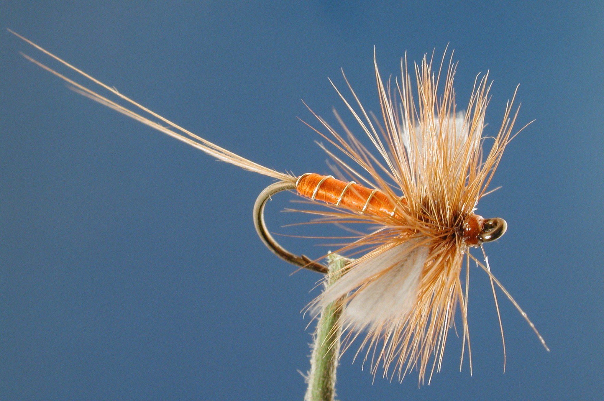 Sherry Spinner Fly Fishing Flies with Fish4Flies Worldwide